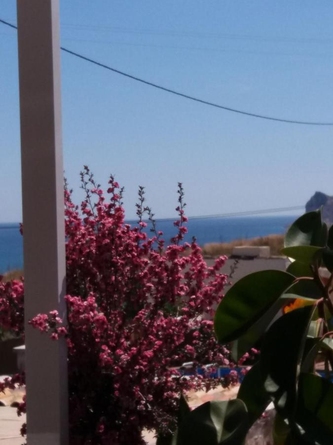 Appartamento Casa Fleur Casco Antiguo Altea Con Piscina Privada Y Jardin Esterno foto